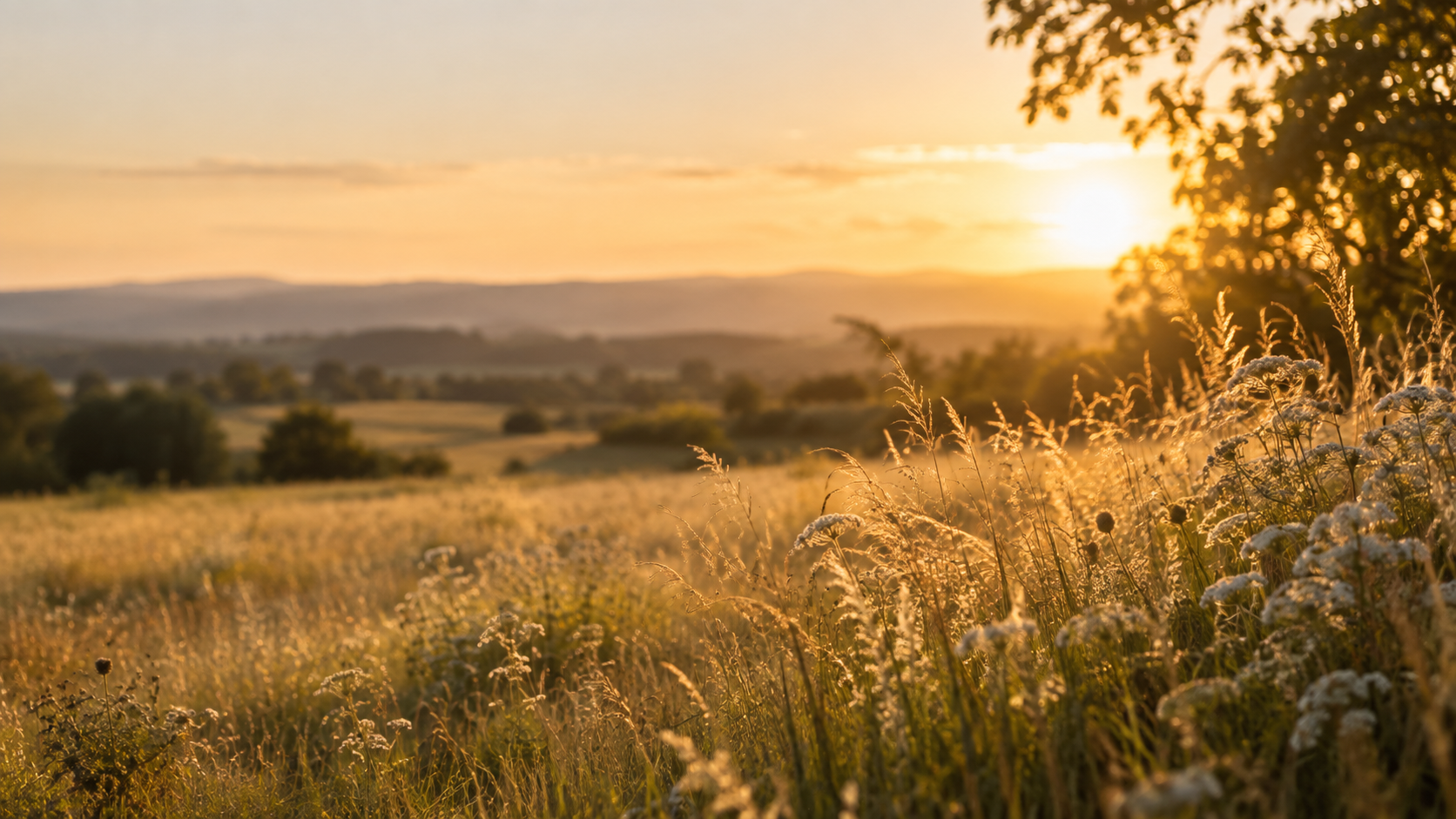 Featured Golden Hour by Charity photograph
